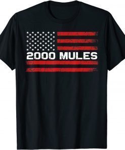 2000 Mules Pro Trump 2024 anti-biden 2000 Mules Game Is Over T-Shirt