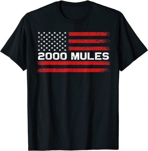 2000 Mules Pro Trump 2024 anti-biden 2000 Mules Game Is Over T-Shirt