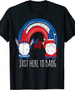 4th July Fireworks Just Here To Bang rainbow Gnome T-Shirt