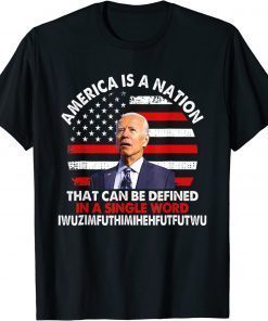 America Is A Nation That Can Be Defined In Single T-Shirt