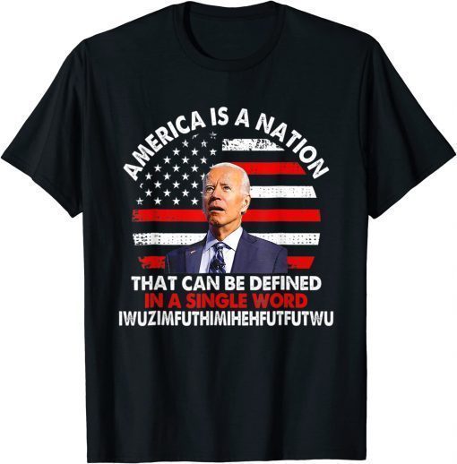 America Is A Nation That Can Be Defined In Single T-Shirt