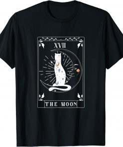 Arot Card He Moon Astrology Crescent Moon And Cat T-Shirt