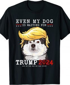 Alaskan Malamute Dog Even My Dog Is Waiting For Trump 2024 T-Shirt