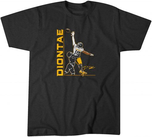 Diontae Johnson One Hand T-Shirt