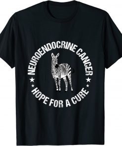 Hope for cure neuroendocrine Cancer Awareness Zebra ribbon T-Shirt