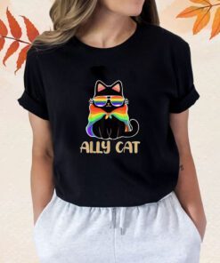 LGBT Ally Cat Be Kind Gay Rainbow Funny LGBTQ Gift Shirt