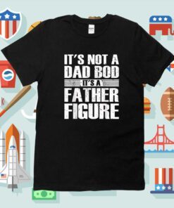 It's Not A Dad Bod It's A Father Figure Fathers Day 2023 T-Shirt