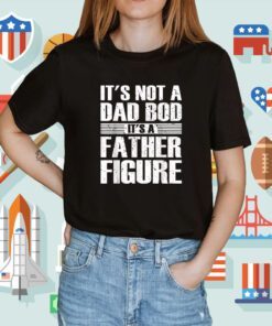 It's Not A Dad Bod It's A Father Figure Fathers Day 2023 T-Shirt