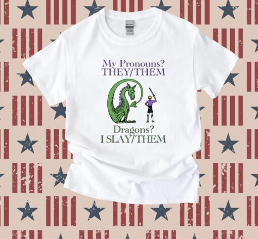 My Pronouns They Them Dragons I Slay Them Tee Shirt