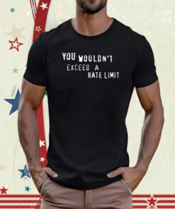 You Wouldn't Exceed A Rate Limit Tee Shirt