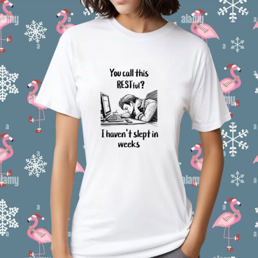 RESTful programmer Tee Shirt