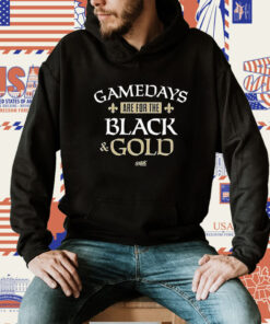 Gamedays Are For The Black And Gold Tee Shirt