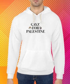 Alex Stein 99 Gay For Palestine Shirt