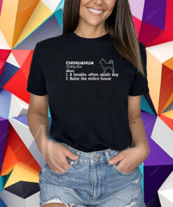 Claire Behind The Hair Chihuahua Big Boi Noun A Lovable Often Spoilt Dog Rules The Entire House T-Shirt