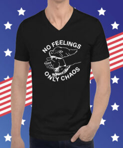 Fsgprints No Feelings Only Chaos Hoodie T-Shirts