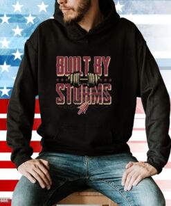 Garnet And Gold Built By Storms Hoodie T-Shirt