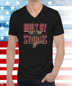 Garnet And Gold Built By Storms Hoodie T-Shirts