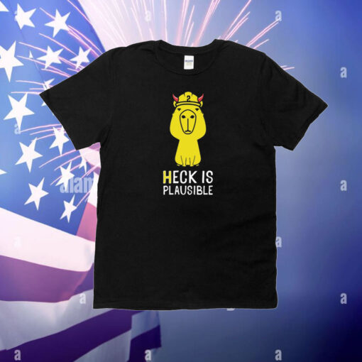 Heck Is Plausible 2023 T-Shirt