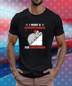 I Want A Hippopotenuse For Christmas T-Shirts