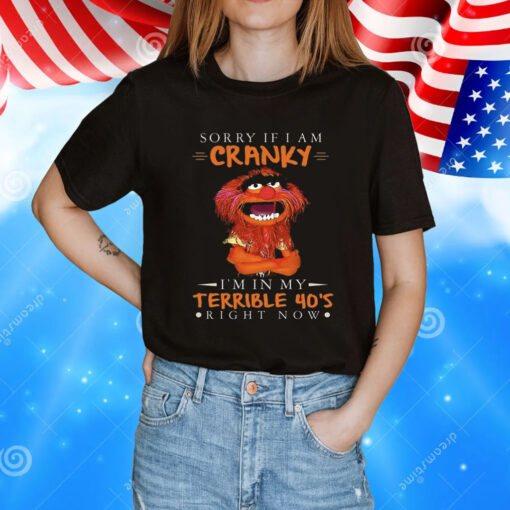 Sorry If I Am Cranky Im In My Terrible 40s Right Now Tee Shirt