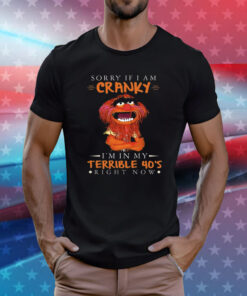 Sorry If I Am Cranky Im In My Terrible 40s Right Now T-Shirt