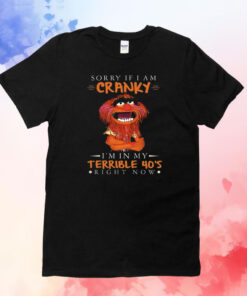 Sorry If I Am Cranky Im In My Terrible 40s Right Now TShirt