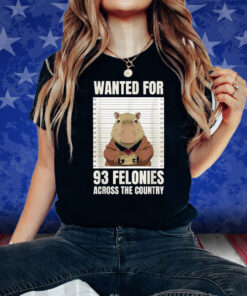 Wanted For 93 Felonies Across The Country Shirt