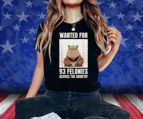 Wanted For 93 Felonies Across The Country Shirt