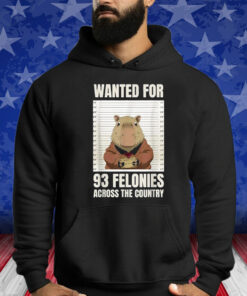 Wanted For 93 Felonies Across The Country Shirt