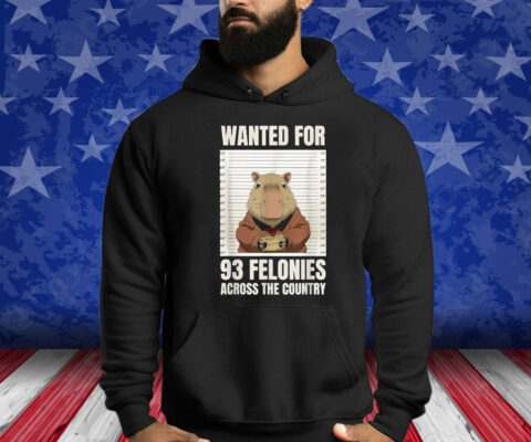 Wanted For 93 Felonies Across The Country Shirt