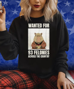 Wanted For 93 Felonies Across The Country Shirt