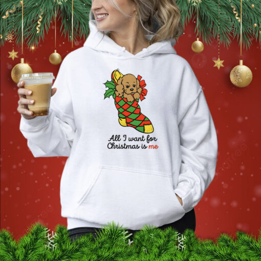 All I Want For Christmas Is Me Hoodie