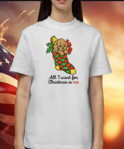 All I Want For Christmas Is Me Shirt