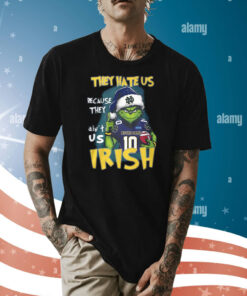Grinch They Hate Us Because They Ain’t Us Irish Shirt