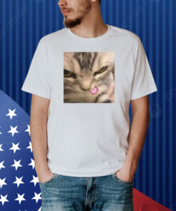 Cat Silly Kitten Shirt