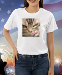 Cat Silly Kitten Shirts