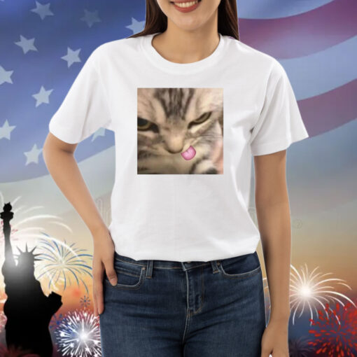 Cat Silly Kitten Shirts