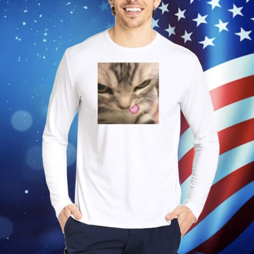 Cat Silly Kitten TShirts