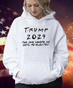 Trump 2024 The One Where He Gets Re-Elected Hoodie