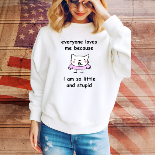 Everyone Loves Me Because I Am So Little And Stupid Hoodie Tee Shirts