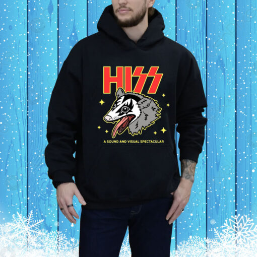 Hiss A Sound And Visual Spectacular Hoodie Shirt