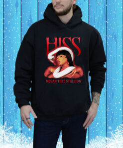 Hiss Megan Thee Stallion Hoodie Shirt