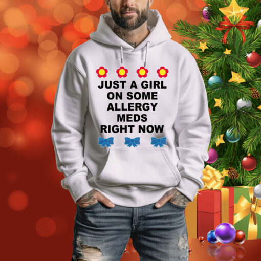 Just A Girl On Some Allergy Meds Right Now Hoodie Shirt