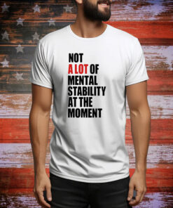 Not A Lot Of Mental Stability At The Moment Hoodie Shirt