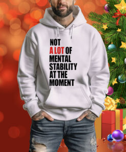 Not A Lot Of Mental Stability At The Moment Hoodie Shirt