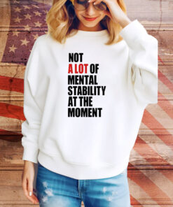 Not A Lot Of Mental Stability At The Moment Hoodie tee Shirt