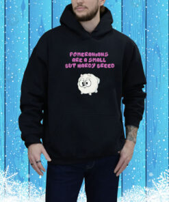 Pomeranians Are A Small But Hardy Breed Hoodie Shirts