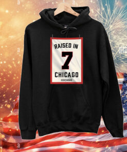 Raised In Chicago 7 T-Shirts