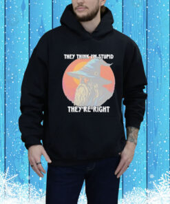 They Think Im Stupid Theyre Right Hoodie Shirt