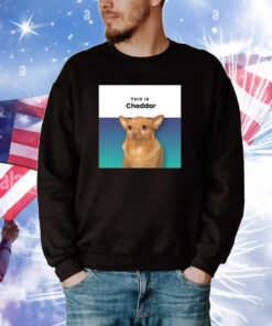 This Is Cheddar Tee Shirts